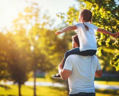 Health Insurance Plans Families