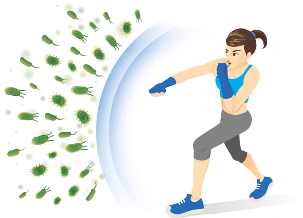 strengthen your immune systems